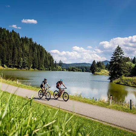 Kreischberg Pool & Penthouses By Alps 빌라 장크트 로렌첸 오프 무라우