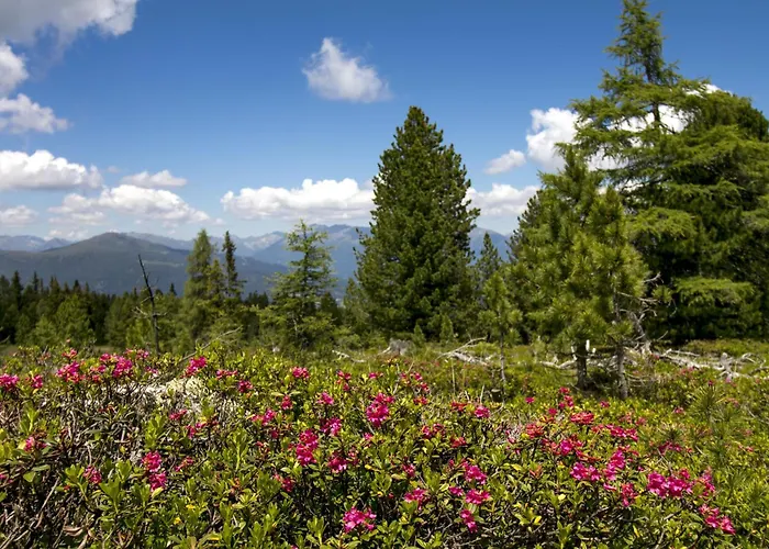 Kreischberg Pool & Penthouses By Alps *